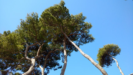 Dubrovinik Croatia