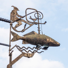 Schild, Fisch, Fisch in der Luft, Karpfen, Angler, Himmel, schmutzig
