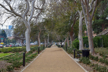 Streets of Beverly Hills, California