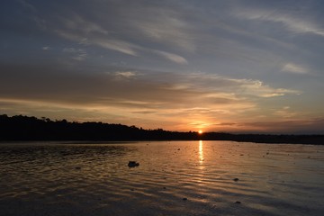 Fototapeta na wymiar Sunset in the Amazon rainforest 