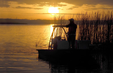 Silhouette of Unrecognizable Fisherman Anchored Near the Reeds as the Sun Rises