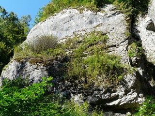 DOLINA BRZOSKWINI  PODKRAKOWSKIE DOLINKI JURAJSKIE  JURA KRAKOWSKO-CZĘSTOCHOWSKA  POLSKA