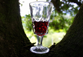Vino