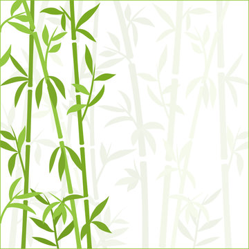Bamboo background japanese asian plant wallpaper grass. Bamboo tree vector pattern