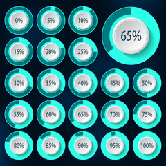 Set of pie charts for business infographics.Progress bar for web design.3d infographic elements.Blue White Style