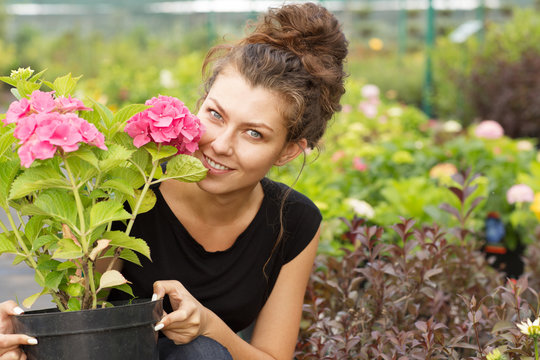 Portrait of beautiful female customer keeping black pot with pink flower, smiling, looking at camera and posing in orchard house. Pretty young woman in black shirt buying plant for house.