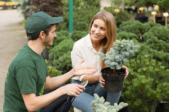 Young man wearing green uniform and cap helping pretty woman squatting in rows of pots with trees and talking. Professional male worker of greenhouse giving advice beautiful female customer. - Powered by Adobe