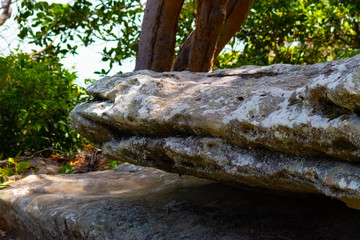 rock in front of tree