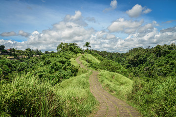 Campuhan Ridge Walk, Ubud, Bali, Indonesia.