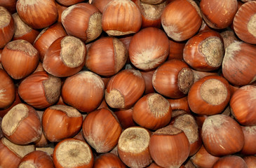 Nuts. Food background.  Nice hazelnuts. Organic texture. Top view