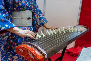 Woman in kimono dress Japanese traditional instrument koto plays