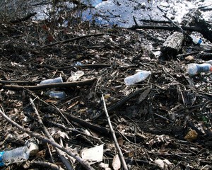 Plastic pollution in pond
