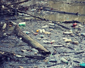 Plastic pollution in pond