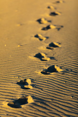 Footprints over the sand dunes with the sand folds of Puertecillo Beach. Step by step imprinting in the sand the footmark contrasted with the sunset shadows just an amazing textured pattern, Chile