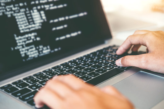 Developing programmer Development Website design and coding technologies working in software company office