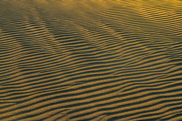 Like the Sahara desert but just a close up of sand beach small sand dunes making folds during sunset at Cabo Polonio, Uruguay