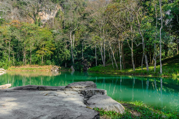 Swamp in Tham Luang - Khun Nam Nang Non Forest Park, Chiang Rai, Nort of Thailand