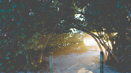 Jupiter, FL © Steven