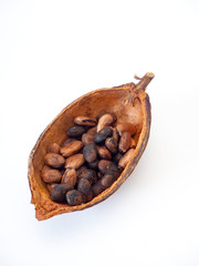 Open cocoa pod on a white background