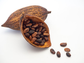 Cocoa pod ,beans and on white background