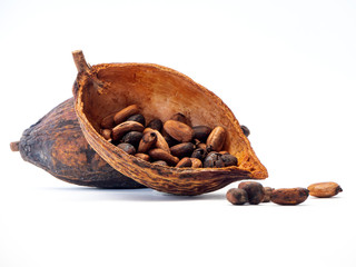 Cocoa pod ,beans and on white background