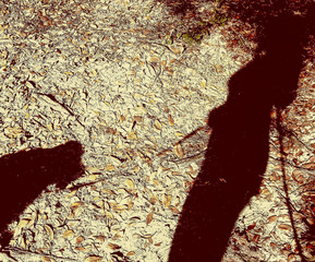 Dog and girl shadow