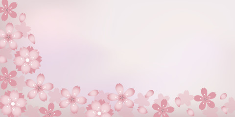 Fototapeta na wymiar Sakura, cherry blossom banner, background - spring, pastel, flowers