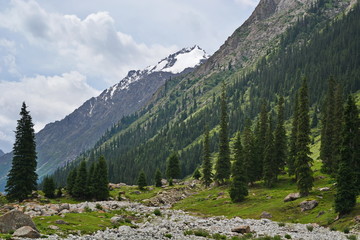 Obraz premium Alpine valley between mountains with rocks and snow on mountain peak 