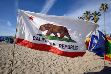 California Flag © PixilRay