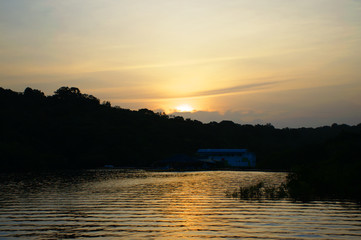 Nature around the city of Manaus, Amazonas-Brazil, with animals and vegetation of the Amazon.