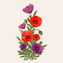 Mixed Poppy flowers - obrazy, fototapety, plakaty