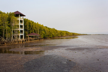 The Black Sand Beach in Laem Ngop, Trat