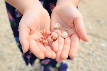 Images of shells in the hand