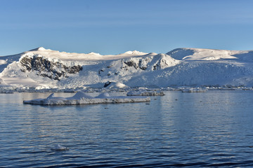 Fototapeta na wymiar the amazing High arctic and antarctic