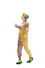 Funny clown isolated on white background