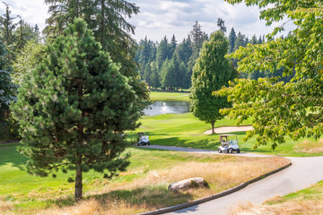 Golf course with gorgeous green and fantastic mountain view