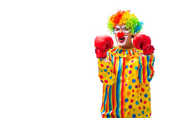Male clown isolated on white 