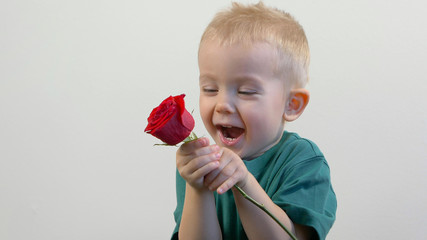 Cute kid ( two years old child)  holding the bouquet of red roses. Congratulations mother, womens, valentines day concept