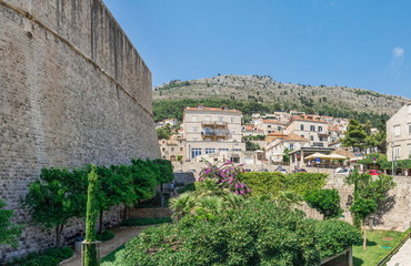Fototapeta na wymiar A small garden in Dubrovnik
