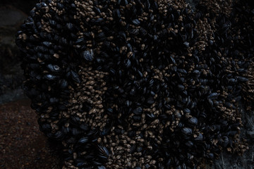 beach sand wall