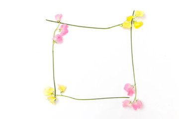 春のお花　Flower frame of spring