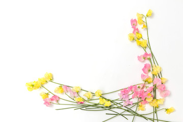 Fototapeta premium 春のお花 Flower frame of spring