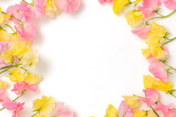 Obraz na płótnie Canvas 春のお花　Flower frame of spring