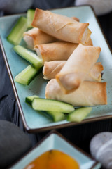 Turquoise plate with chinese spring roll appetizers, close-up, selective focus