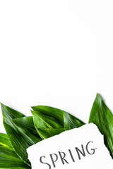Spring concept. Hand lettering text spring near green leaves on white background top view copy space