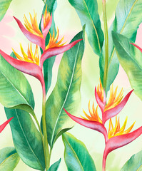 Obrazy na Szkle  Akwarela helikonia kwiat. Ręcznie malowany wzór bez szwu