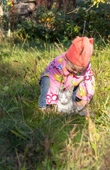 Child playing with a cat in the grass