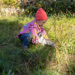 Naklejka na ściany i meble Child playing with a cat in the grass
