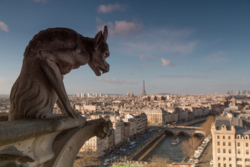 Sculptures of the Gargoyle and Chimera at the Cathedral of Notre-Dame de Paris, France