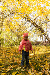 Child in the park on the background of autumn foliage